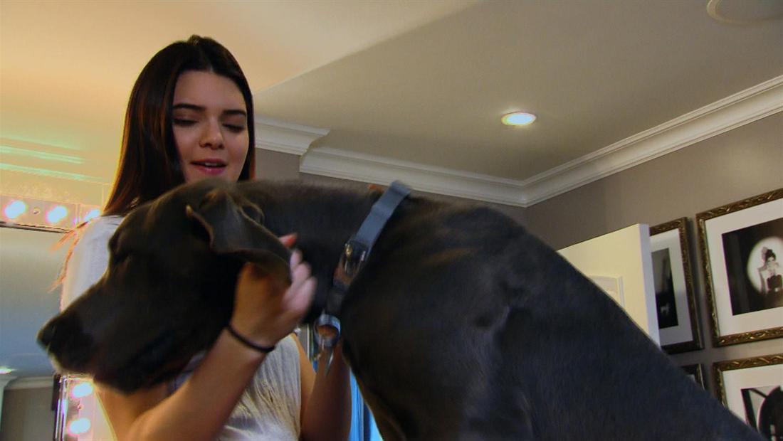 Doggy Blu's Doggy Blu's